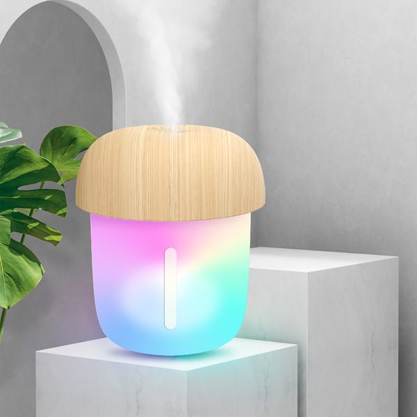 Mushroom Shape Humidifier   ||  Portable Mini Humidifier